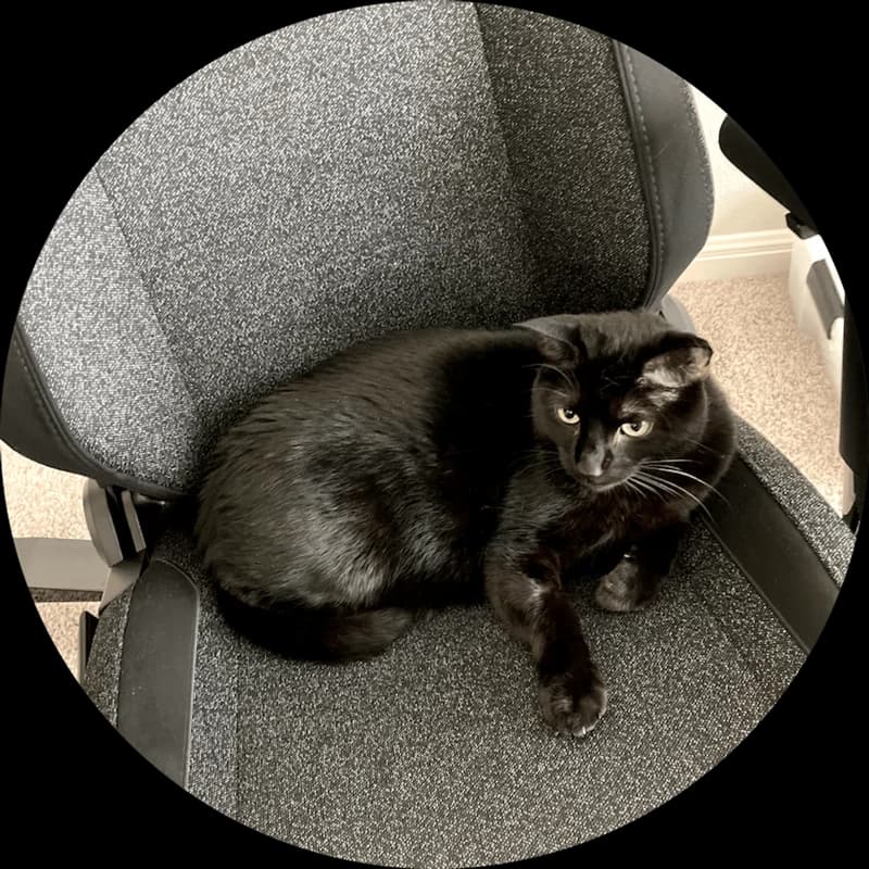 Black cat lounging on an office chair